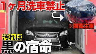 【ブラックの悩み】1ヵ月洗車しなかったらどれだけ汚れるの⁉︎※汚過ぎて閲覧注意