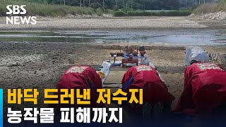 평년 6% 강수량으로 바닥 드러낸 저수지…농작물 피해까지 / SBS