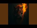 The Tyger