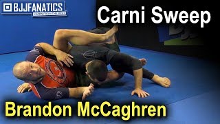 Carni Sweep by Brandon McCaghren