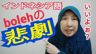 インドネシア語 boleh（～しても良い）の使い方 在イ30年の日本人が解説