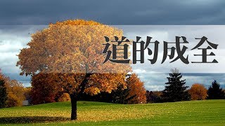 曾子雨 06-23-2019 [道的成全]