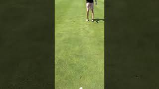 Surprising hole in one! #golf #holeplayer #golfswing #golfer #SAGolf