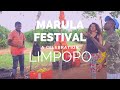 Marula Festival Limpopo (not to be confused with Amarula)