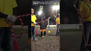 30年ぶりの快挙！ばんえいグランプリ優勝メムロボブサップ