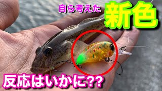 【ハゼクランク】自ら考えたルアーのカラー。果たして釣れるのか？【水の旅＃ １６】