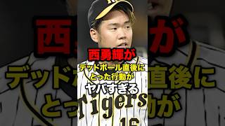 西勇輝がデッドボール直後にとった行動がヤバすぎる#野球#野球雑学#野球ネタ