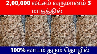 2,00,000 லட்சம் வருமானம் 3 மாதத்தில் ​| 100% லாபம் தரும் தொழில்  ​| Small Business Ideas Tamil