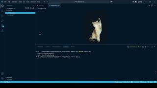 This Python Code Removes Backgrounds INSTANTLY - No Photoshop Needed!