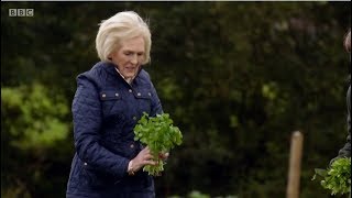 Mary Berry talks to Penny Ede from The Watercress Company about watercress