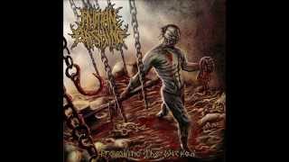 Human Bashing - Invaded And Serrated