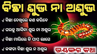 Bicha dekhile kan hua | ବିଛା ଦେଖିଲେ କଣ ହୁଏ | ଶୁଭ ନା ଅଶୁଭ | Centipede odia vastu | Ajira anuchinta |