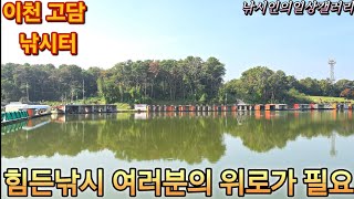 힘든낚시 여러분의 위로가 필요(고담낚시터)