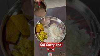 Sol curry and Rice #food #goan  #viralvideo #recipe #recipe #banana #drumsticks #simple #asmrsounds