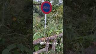 東京都東村山市心霊スポット！通称たっちゃん池！