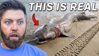 8 Terrifying Sea Creatures That Actually Exist