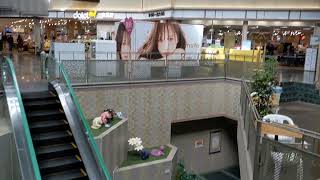 Toshiba scenic hydraulic elevator at the Rokko Market Scene in Kobe