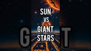 Sun vs giant stars #shortsyoutube #sun #biggeststar