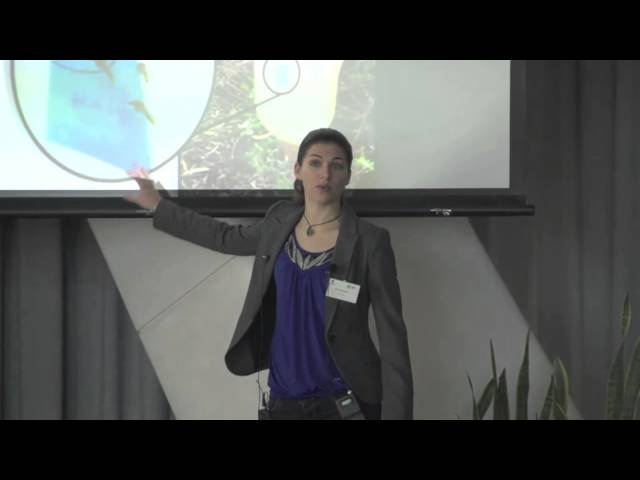3 Minute Winning Thesis Presentation English Esl Video Lessons