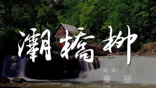 001XkYDE1BfLPB#灞桥柳#童丽灞橋柳 - 童麗『它並非只是一杯酒』【動態歌詞Lyrics】