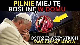 😭 PILNE WIADOMOŚĆ, DZIŚ MARYJA PANNA: Wszyscy musimy zasadzić tę roślinę, aby przetrwać! Nie ignoruj