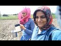 આજ વાવણી કીધી @gujarati village life vlogs