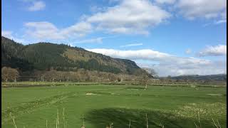 FSC Rhyd-y-creuau Nest Box Cam Live Stream