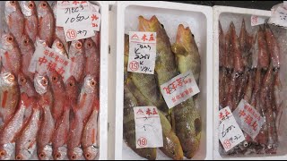 2024 12 21の若狭小浜の魚たちとお正月用品！　延縄、底曳き、蟹曳もあり、そして定置の魚！　さわら、さごし、はまち、レンコ鯛、なめら、剣先イカ、のどぐろ、・・・