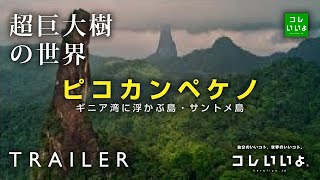 『超巨大樹の世界・予告』ピコカンペケノ（中央アフリカに位置する島・サントメ島）　コレいいよ.JP