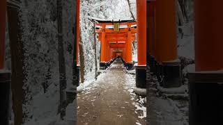 ⛩️Snowy Day in Kyoto, Japan #japantravel #shorts