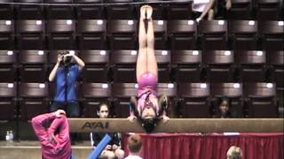 2012 USAG State Championships