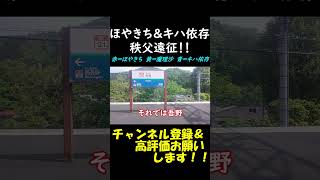 ほやきちの気まぐれ鉄道旅#5-2　本日の主役4000系～カオスを添えて～