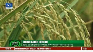 Over 800 Enugu Rice Farmers To Benefit From Agric Initiative | News Across Nigeria |