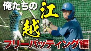 俺たちの江越大賀＆五十幡亮汰＆野村佑希 フリーバッティング練習＜11/13ファイターズキャンプLIVE in Autumn 2022＞