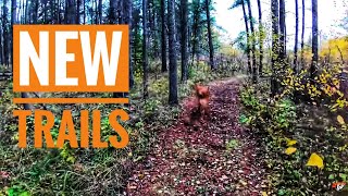 TJV | NEW TRAILS | #1826