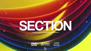 (FREE) ''SECTION'' | Swae Lee X Drake X Popcaan TypeBeat | Dancehall Instrumental 2023
