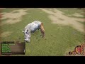 Animalia Survival- Lions vs rhino