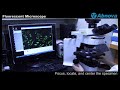 fluorescent microscope