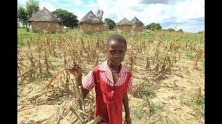 Surviving drought in Zimbabwe (2017)