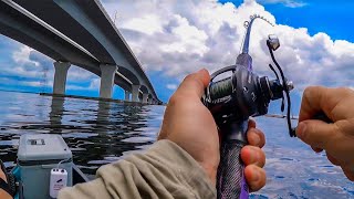 Hooking Bridge GIANTS in Panama City Beach!