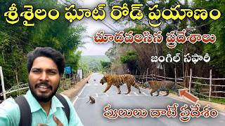 45km నల్లమల ఘాట్ రోడ్ లో నా ప్రయాణం|Dornala To Srisailam Ghat Road 45km