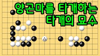 baduk school 바둑스쿨/ 양곤마를 타개하는 타개의 묘수