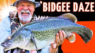 Catching Murray Cod & Yellowbelly From A River Of Dreams!