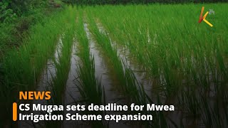 CS Eric Mugaa sets strict deadline for Mwea Rice Irrigation expansion amid challenges