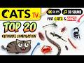 CAT TV - TOP 20 🙀 ULTIMATE Compilation 🐭🪳🦎 for cats & dogs [4K] 5 HOURS