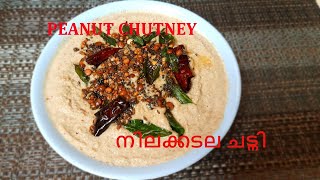 An easy chutney without coconut I തേങ്ങയില്ലാതെ എളുപ്പത്തിൽ ഒരു ചട്നി I നിലക്കടല ചട്നി # 07