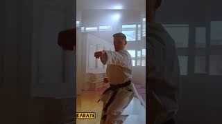 Martial Arts!!!#shortvideo