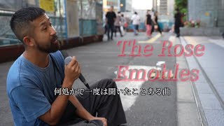 ザ　ローズ　The Rose（#EmohLes　#エモーレス　#山本卓司 ）