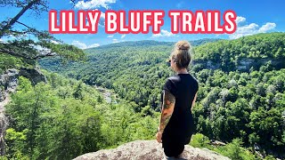 Hiking Lilly Bluff Trails above Obed Scenic River + Potter's Falls (Tennessee)