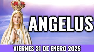 ÁNGELUS de Hoy. Viernes 31 de ENERO 2025